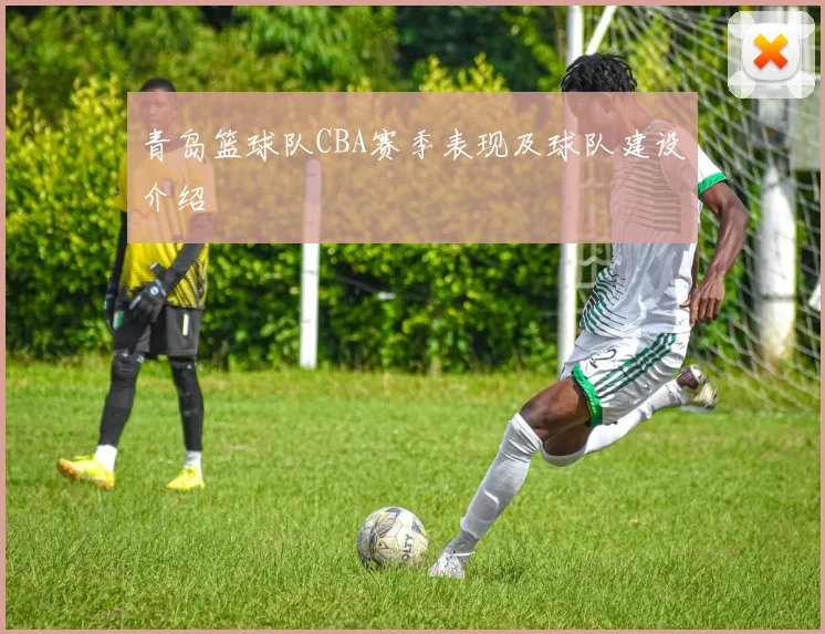 青岛篮球队CBA赛季表现及球队建设介绍